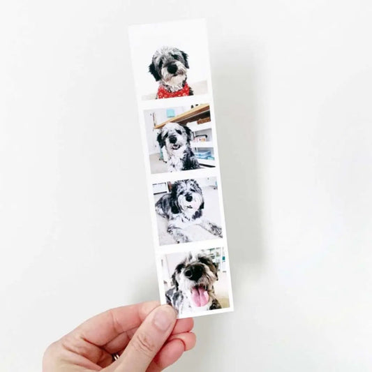 Brandian 24 Customised Photo Strip Prints Personalized Mini Prints Create Custom Memories with our Style Prints Add Text & Emoji Gift Multicolour 8 X 2 Inches (Pack of 6 Photo Strips)