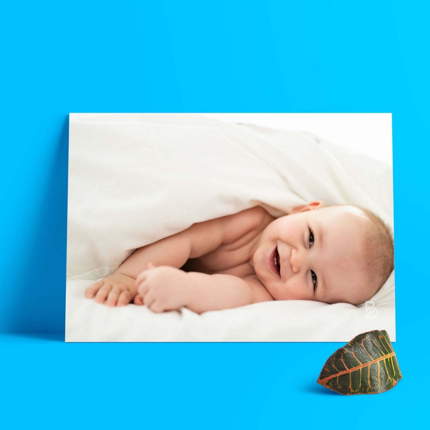 Brandian Baby Photos Nurturing Nurture Personalize Your Haven With Charming Baby Posters For Expecting Moms Create A Cozy Sanctuary Filled With Love A4 Size (29 cms X 21 cms) Set Of 6