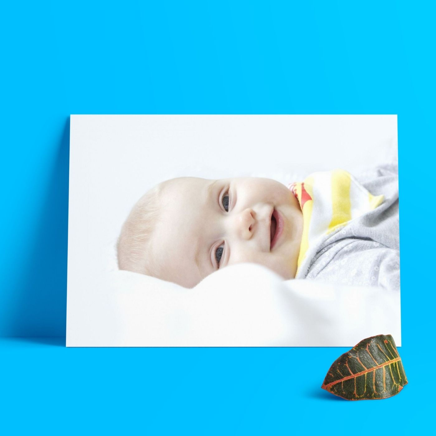 Brandian Baby Photos Tender Treasures Display Your Journey With Enchanting Baby Photos For The Wall Let Every Glance Evoke Sweet Memories And Anticipation A4 Size (29 cms X 21 cms) Set Of 6