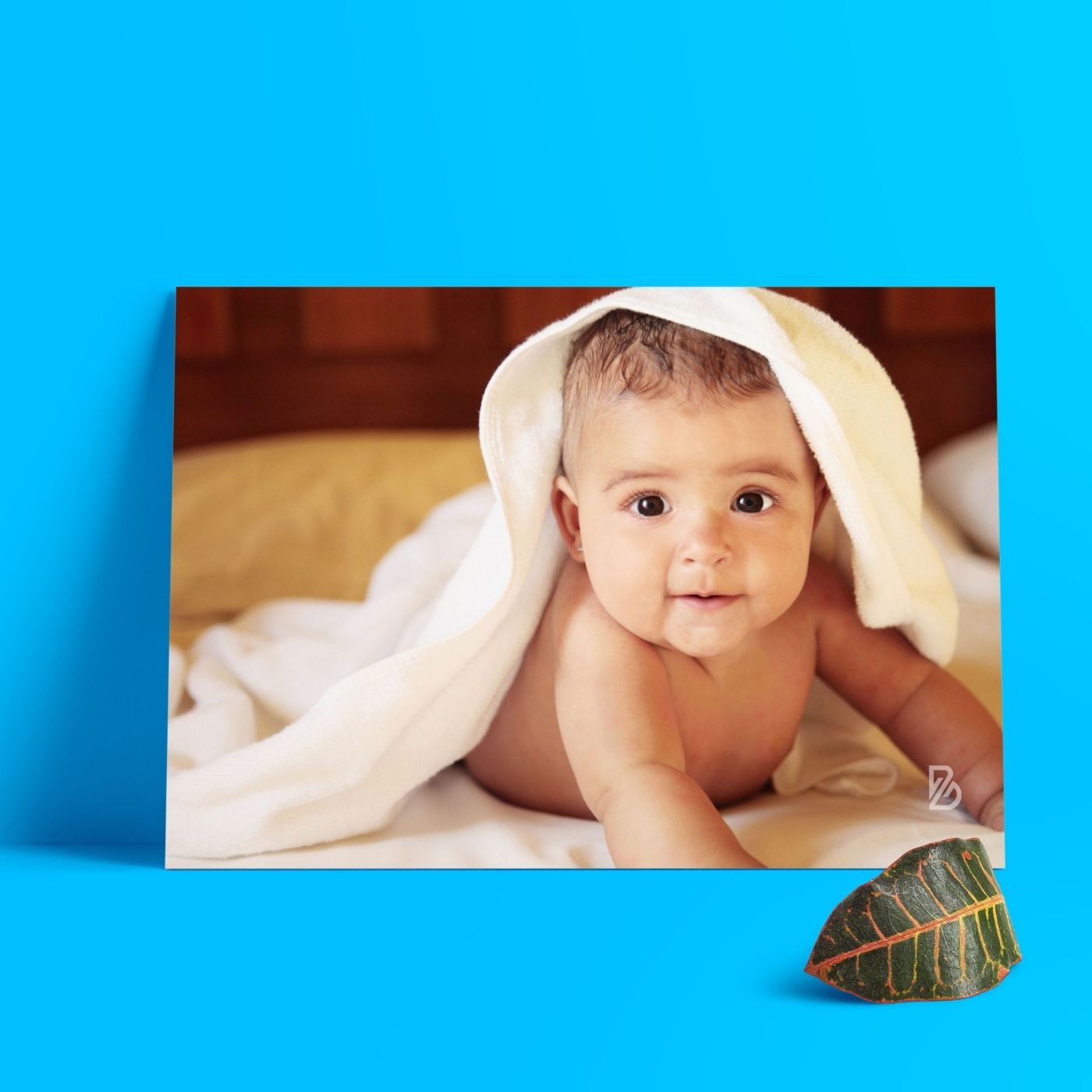 Brandian Baby Photos Tender Treasures Display Your Journey With Enchanting Baby Photos For The Wall Let Every Glance Evoke Sweet Memories And Anticipation A4 Size (29 cms X 21 cms) Set Of 6